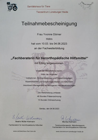 Ausbildung und Qualifikation