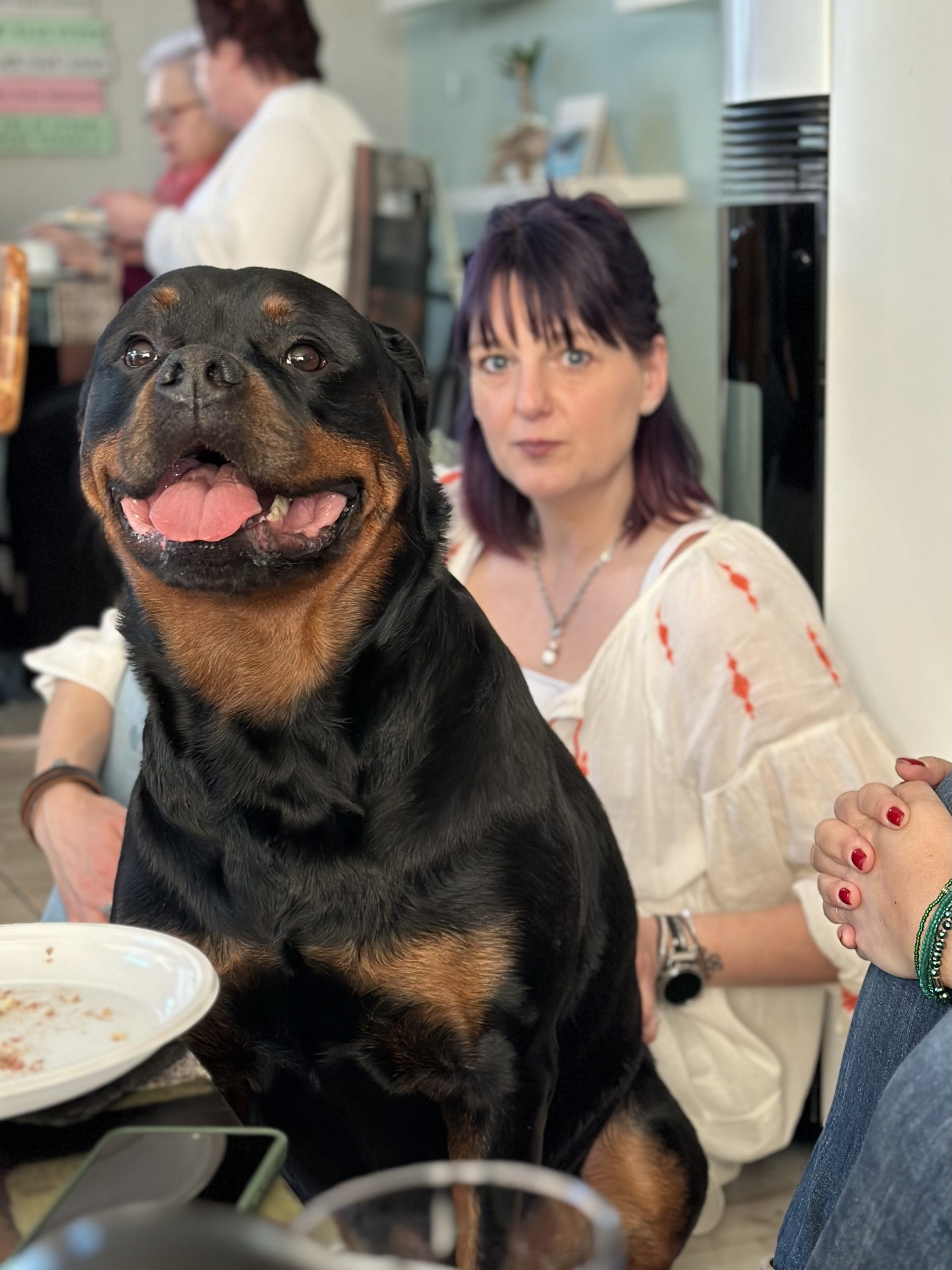 Tierphysiotherapeutin mit Tier